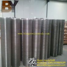 Filter Stainless Steel Welded Wire Mesh